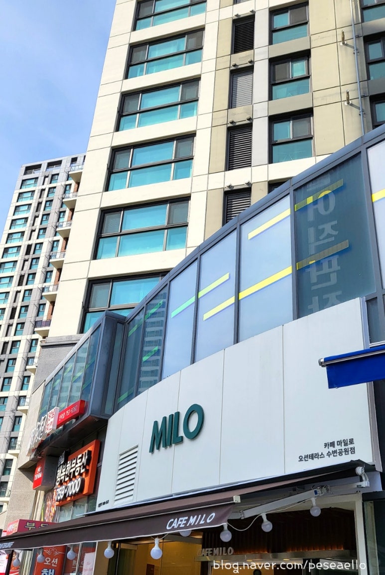 카페마일로(MILO) 이미지