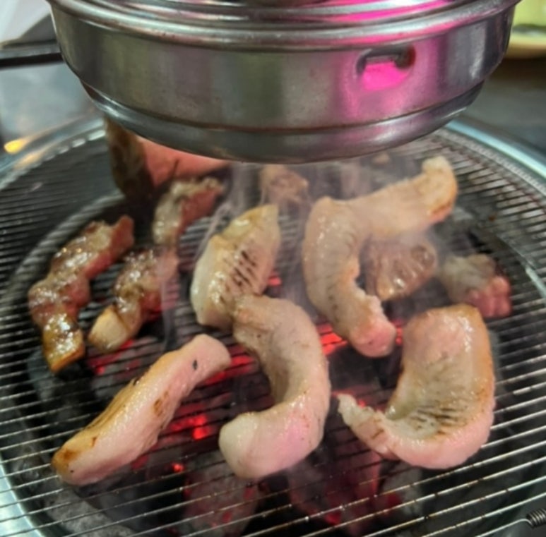 빽돈 이미지