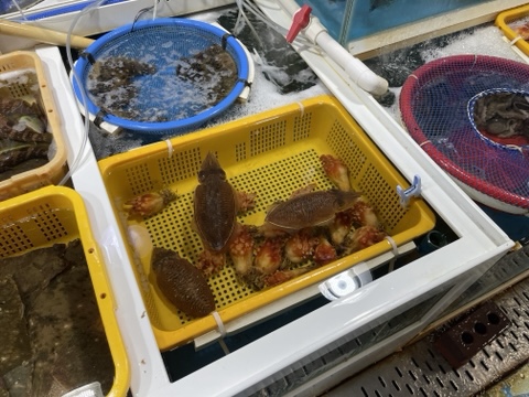 남해상회 이미지