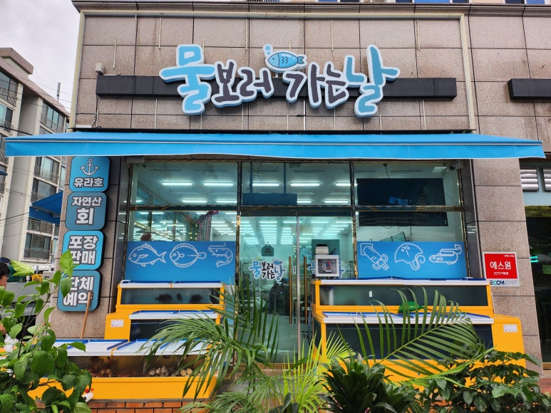 물보러가는날 이미지