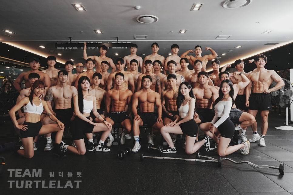 팀터틀랫김해 이미지