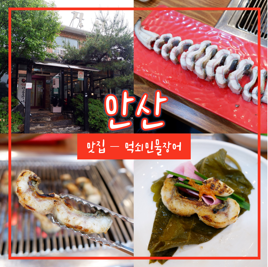 먹쇠민물장어 이미지