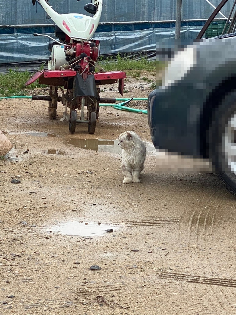 태성슈퍼 이미지