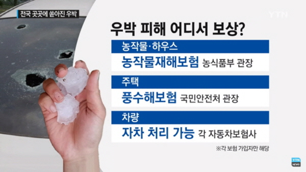 덴트천재 이미지