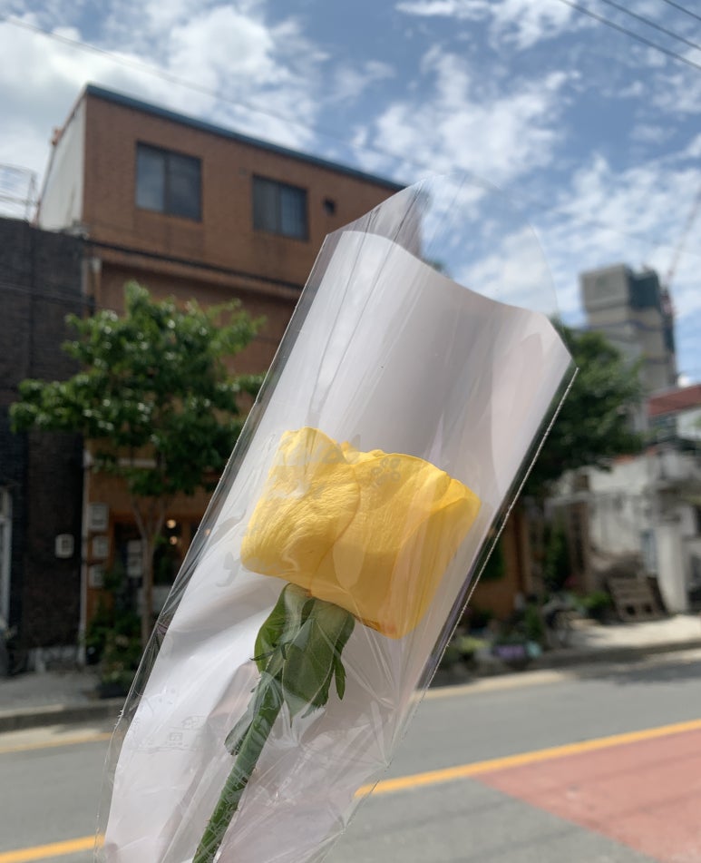 봉봉농원묘목카페 이미지