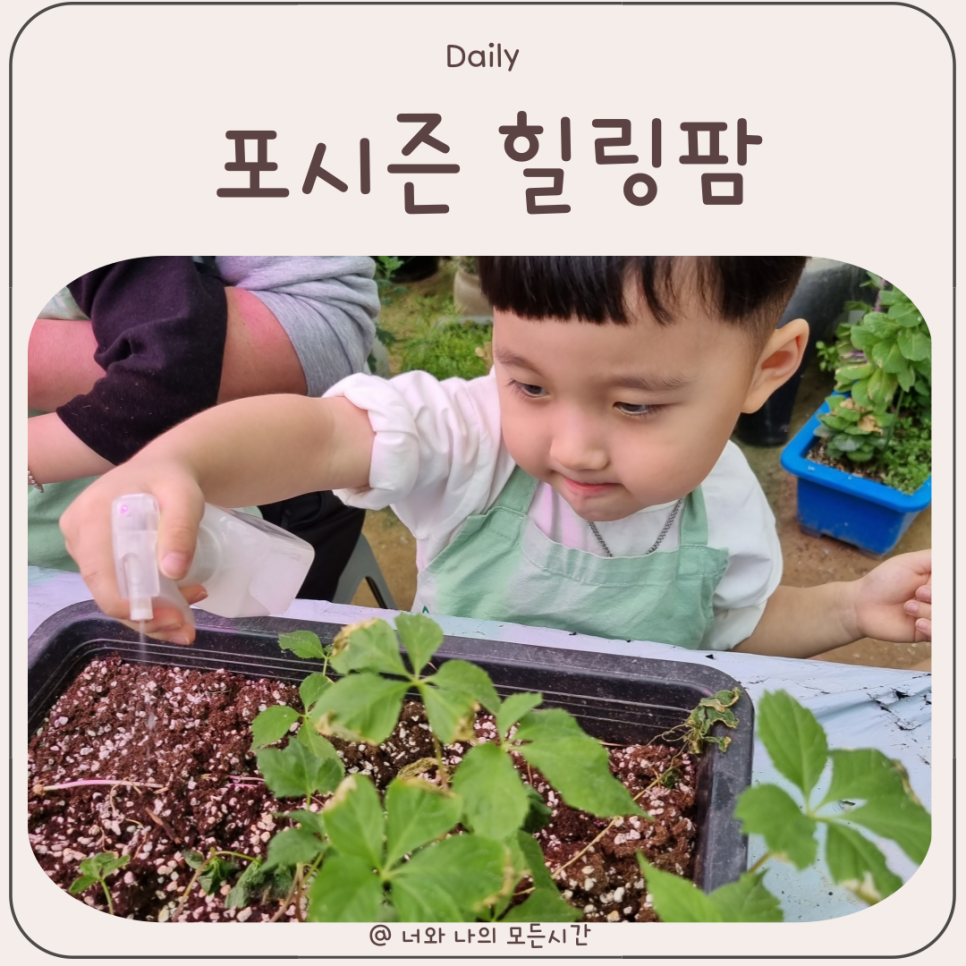 포시즌관광농원 이미지