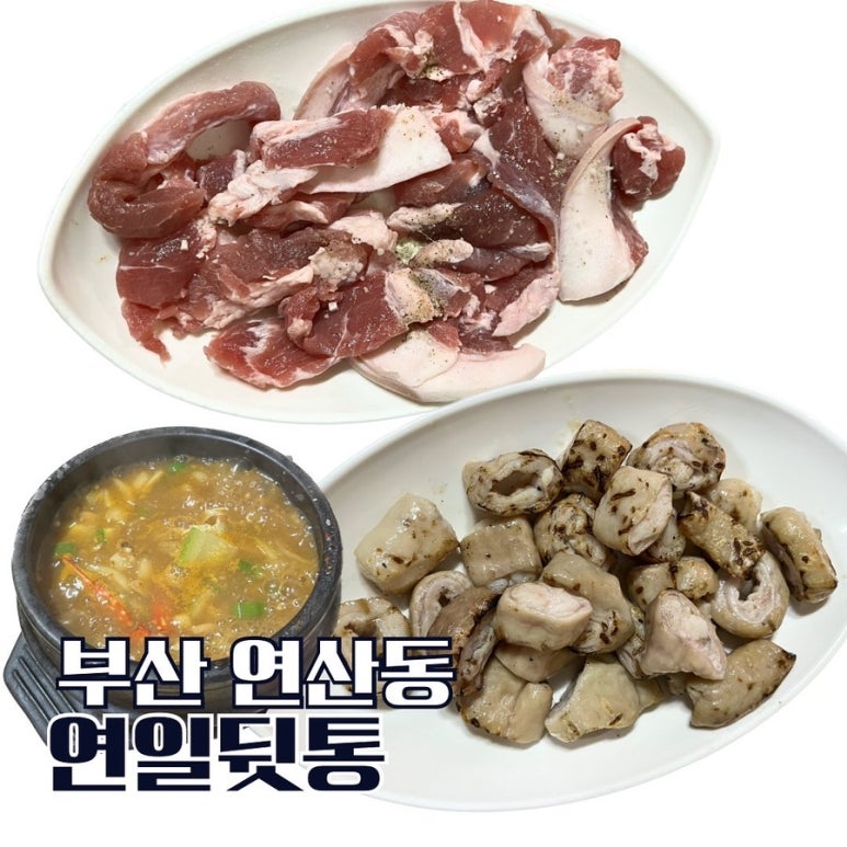 연일 뒷통 이미지