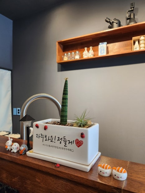 스시소월 이미지