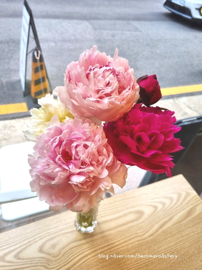 꽃피오니&카페 이미지