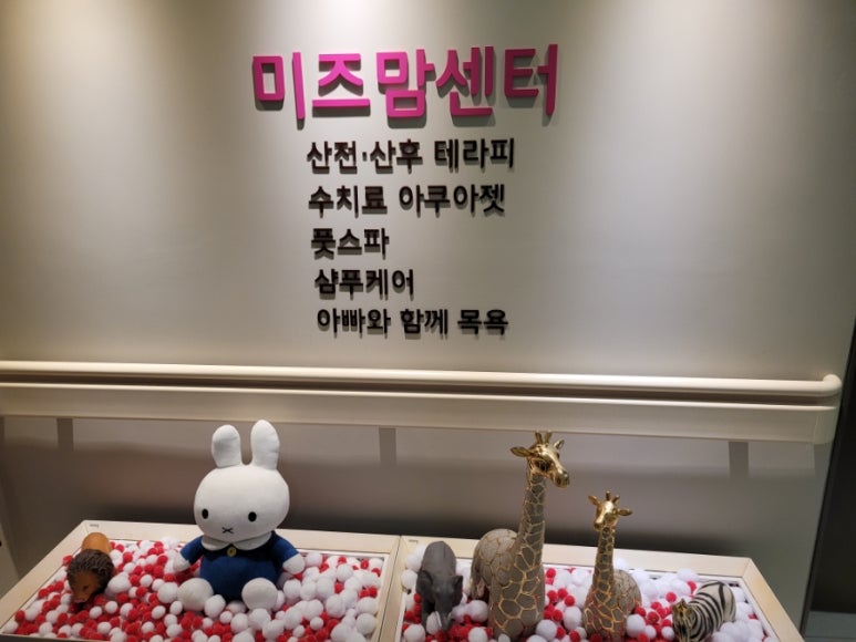 미즈맘테라피 이미지