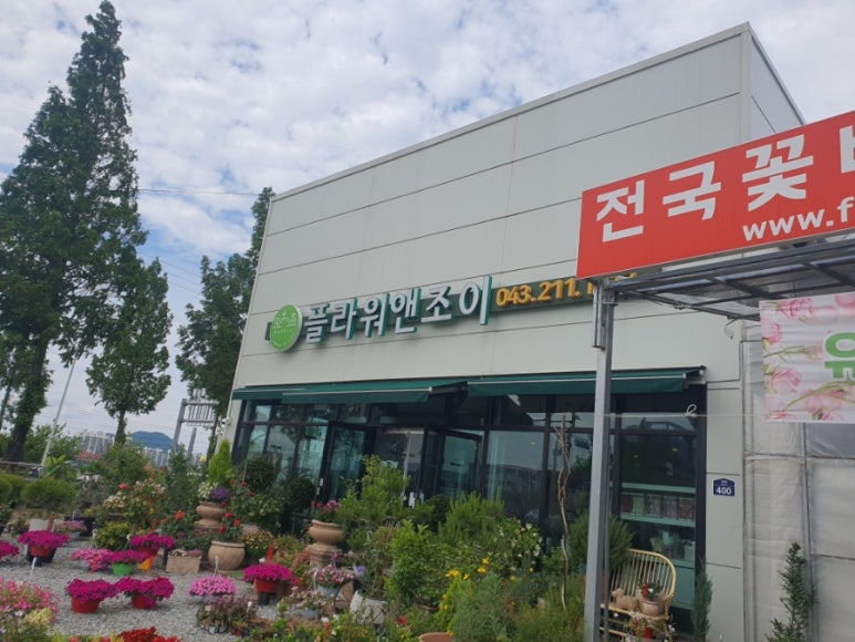 제부꽃집 이미지