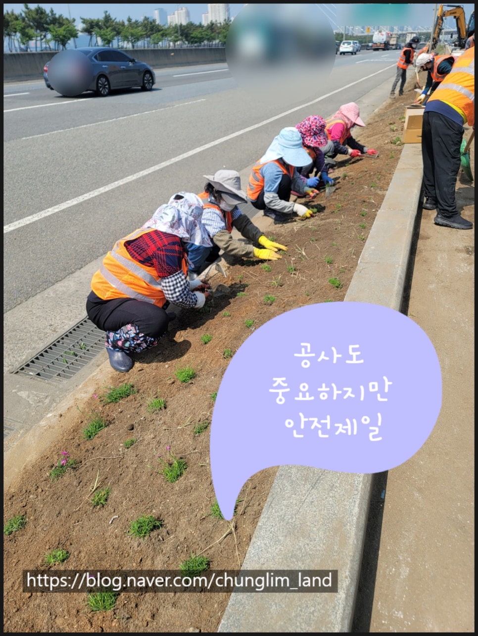 청림조경공사 이미지
