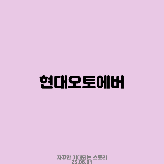 디티네트웍스 이미지