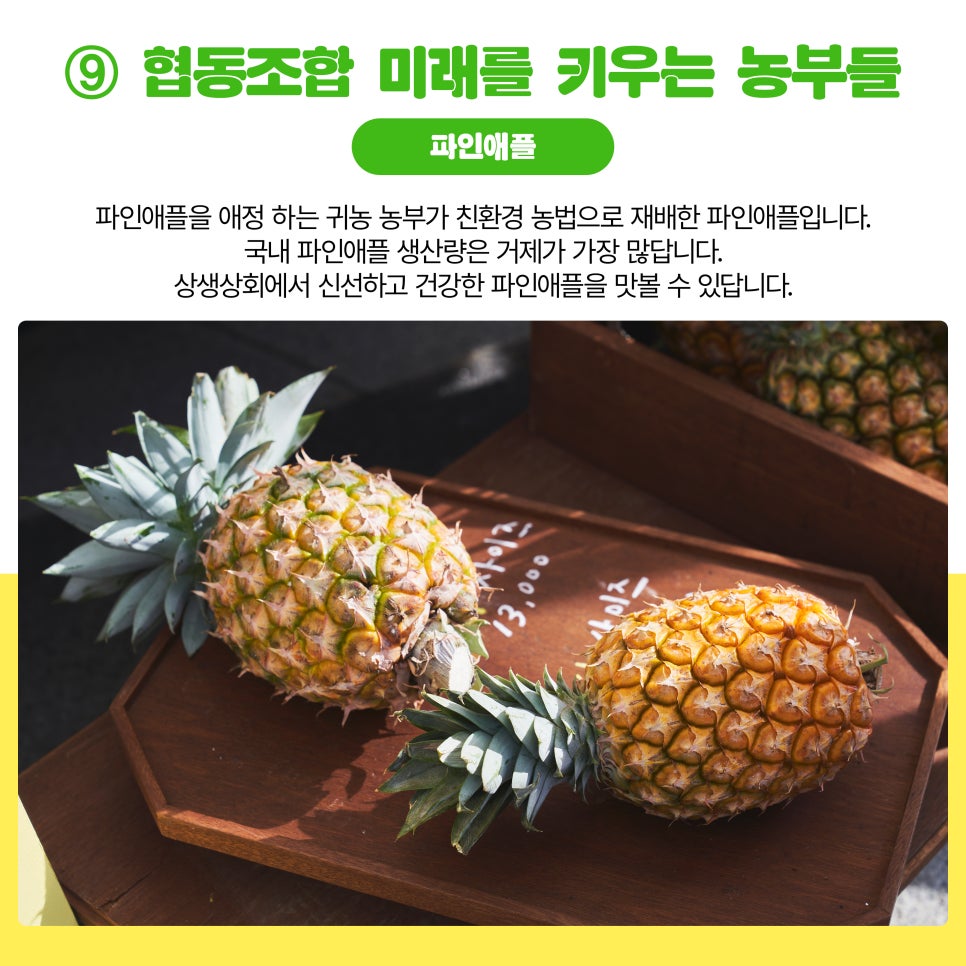 협동조합미래를키우는농부들 이미지