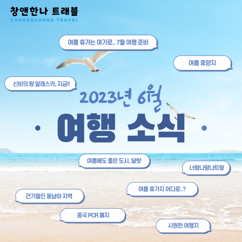 한나여행사 이미지