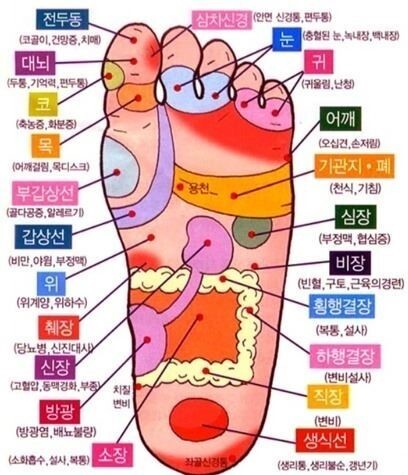 스타비어 이미지