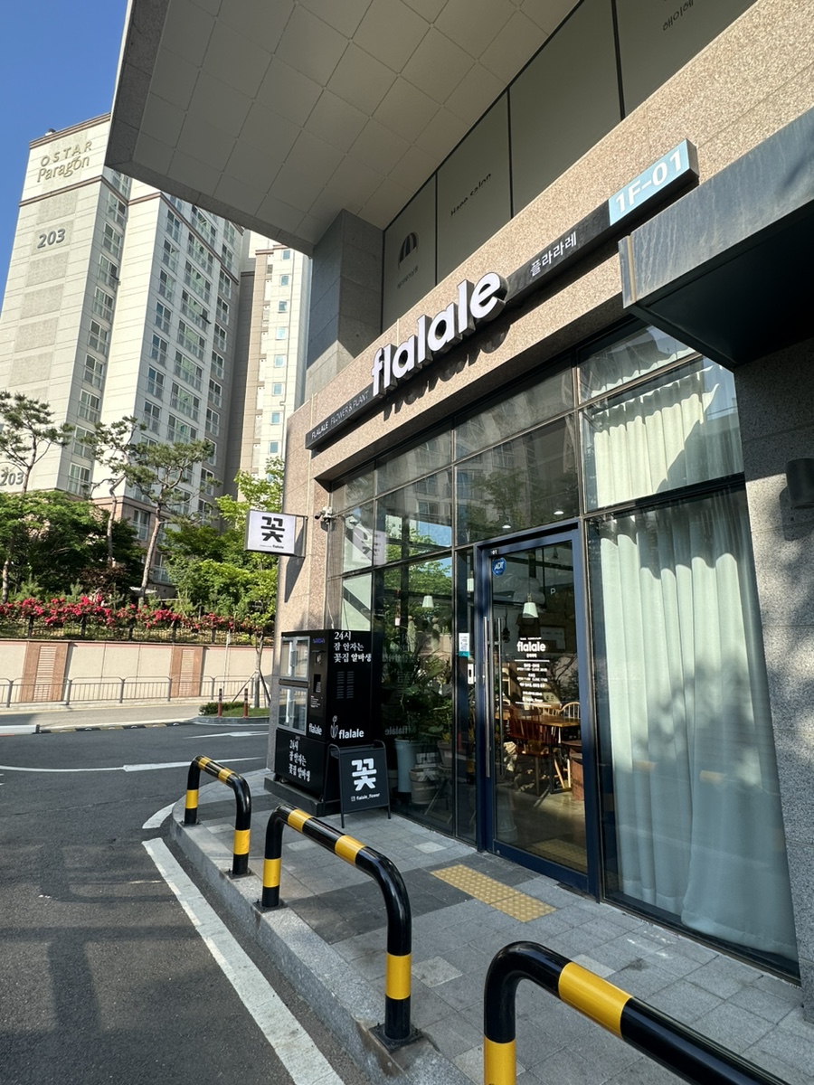 플라라레 이미지