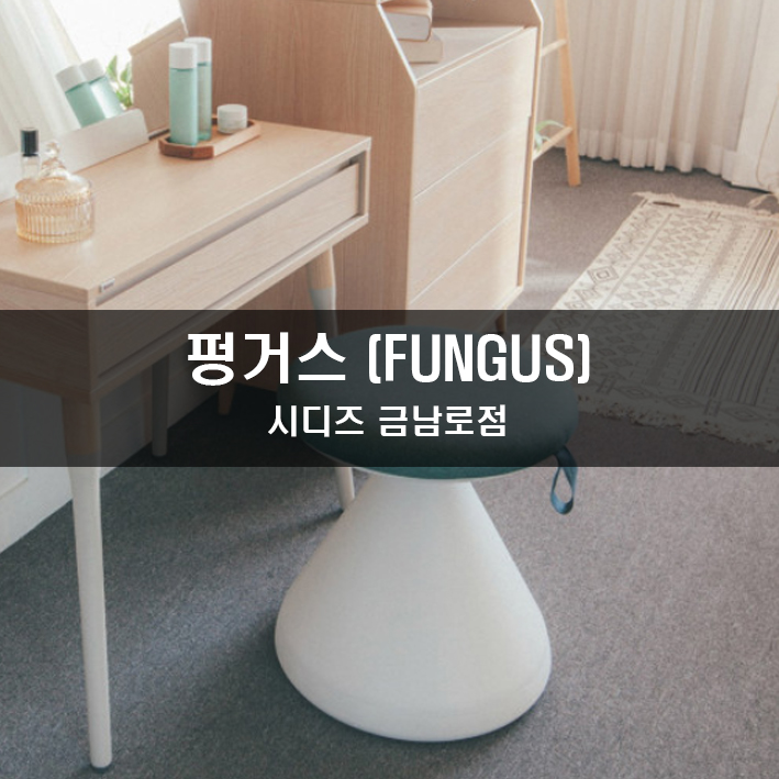 펑거스Fungus 이미지