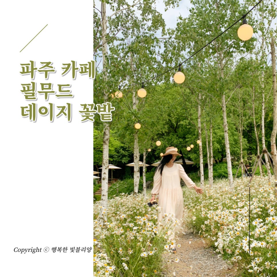 무드블리 이미지