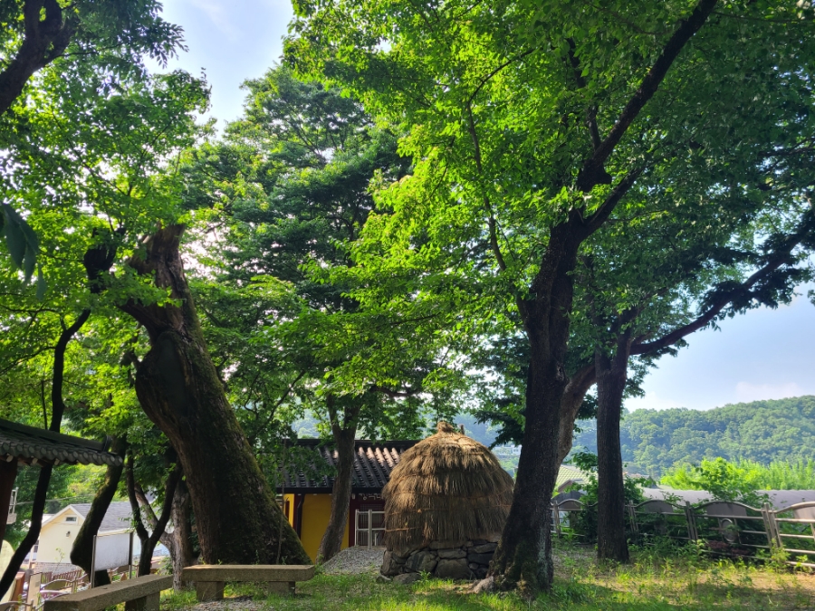 국수당 이미지