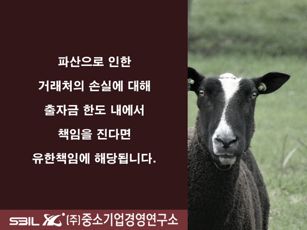 농업회사법인 유한회사 보고 이미지