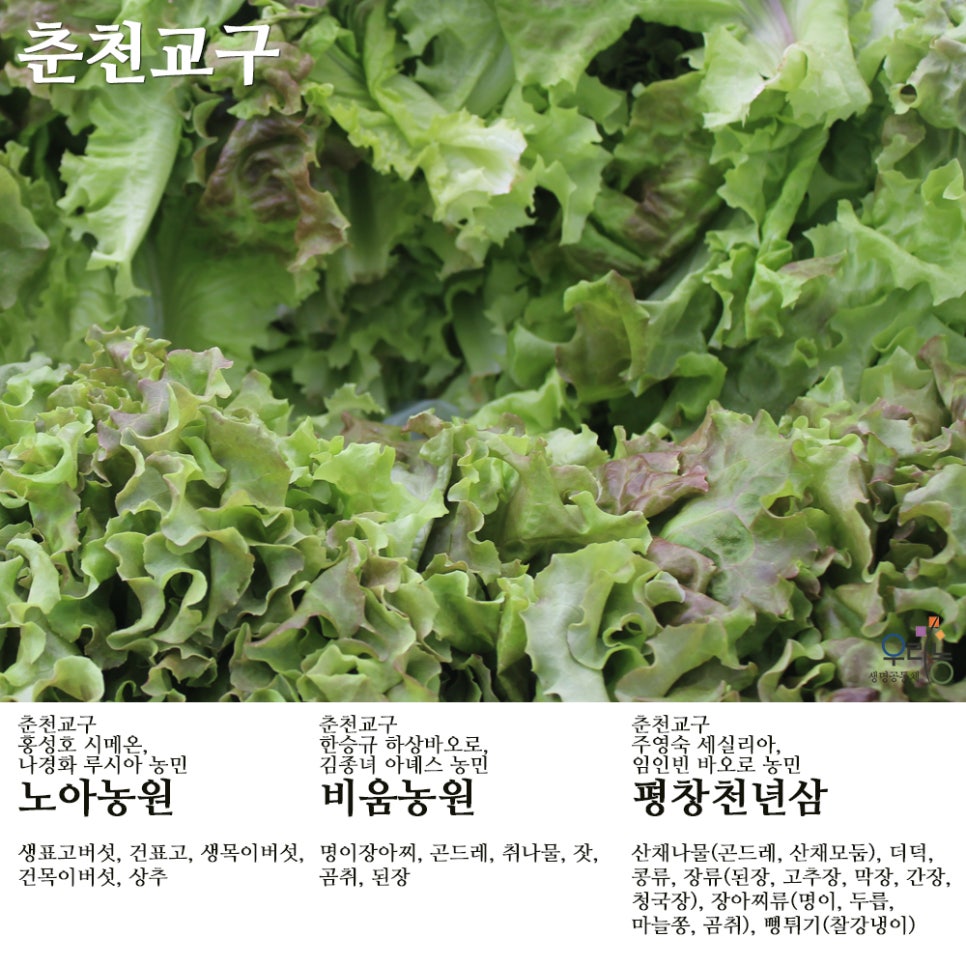 평창잣농원 이미지