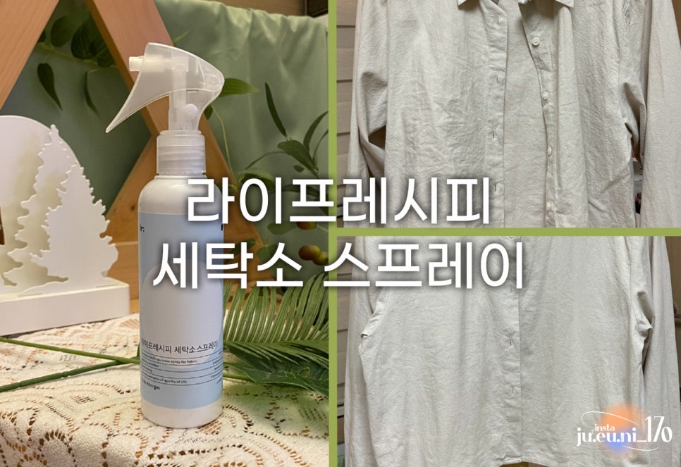 뿌리세탁소 이미지