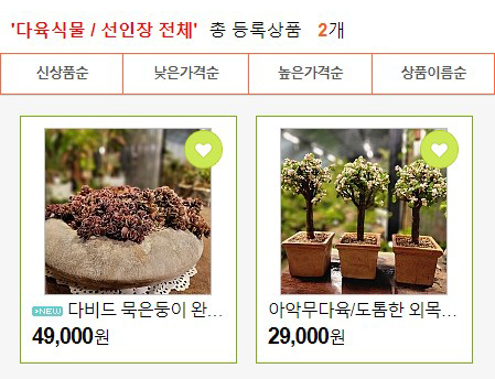 들꽃다육식물 이미지