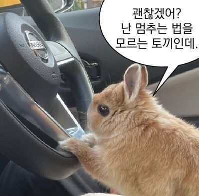 도스톡 이미지