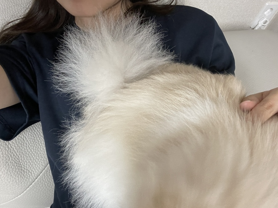 서울칼라１사진관 이미지