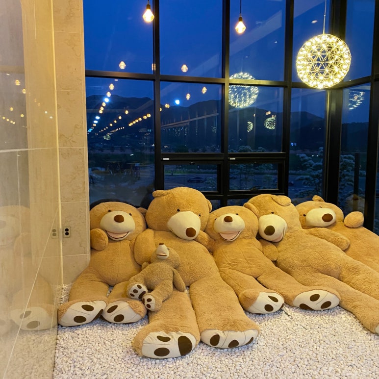 순천만487카페 이미지