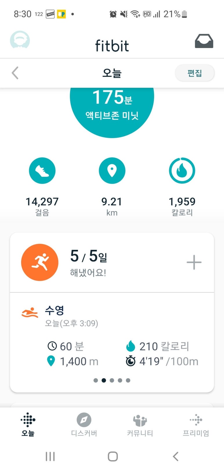 데이레인양 이미지