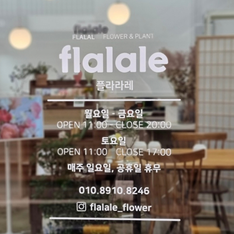 플라라레 이미지