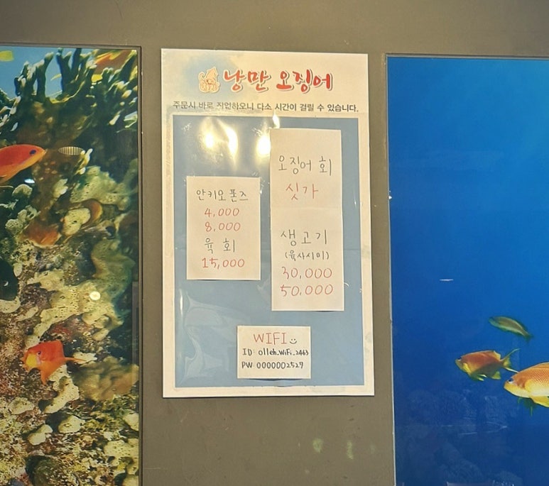 낭만오징어 이미지