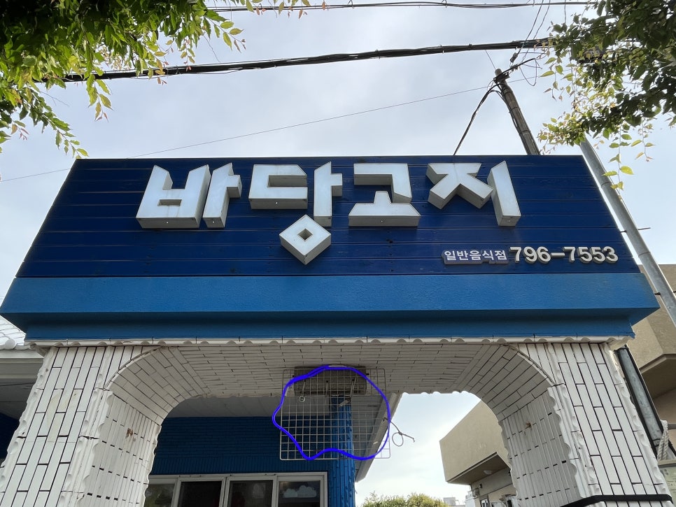 바당고지 이미지