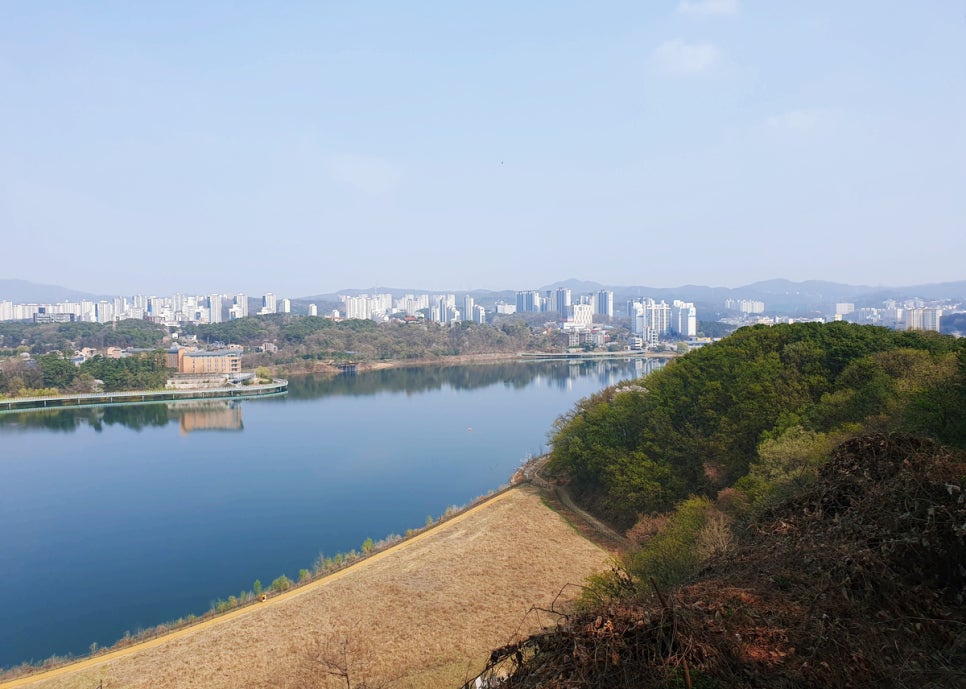 아람착한코다리 이미지