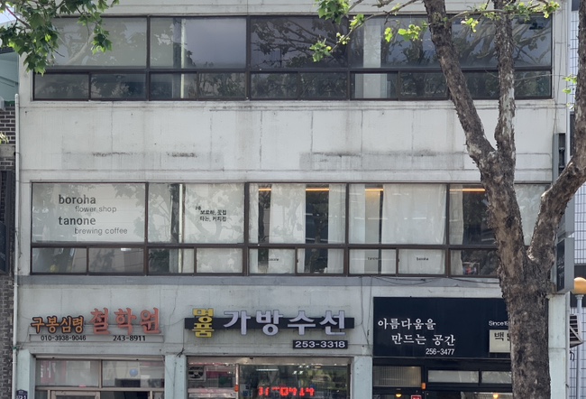 보로하 이미지