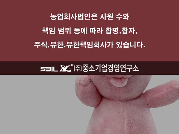 농업회사법인 유한회사 보고 이미지