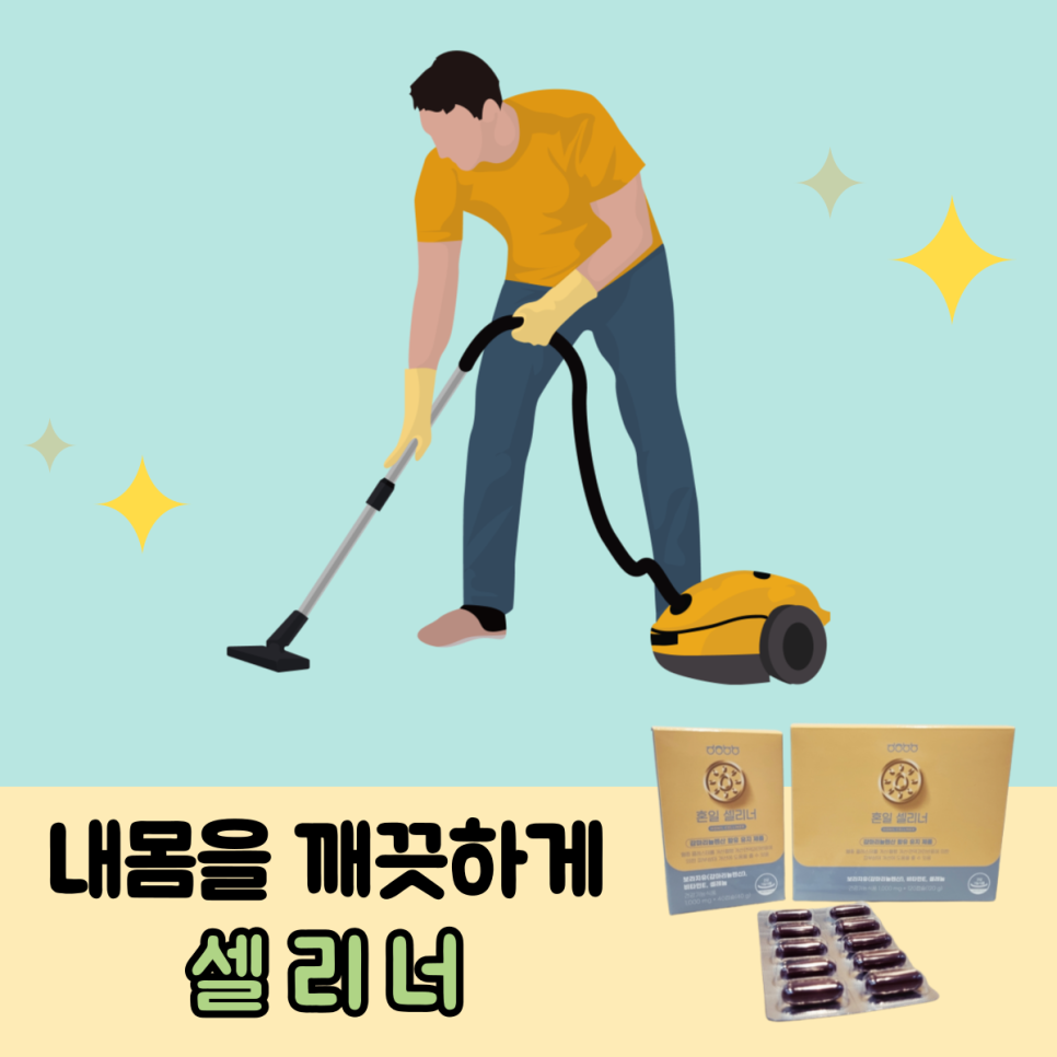 팜코덱스 이미지