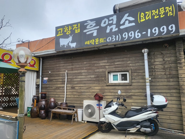 고향집흑염소 이미지