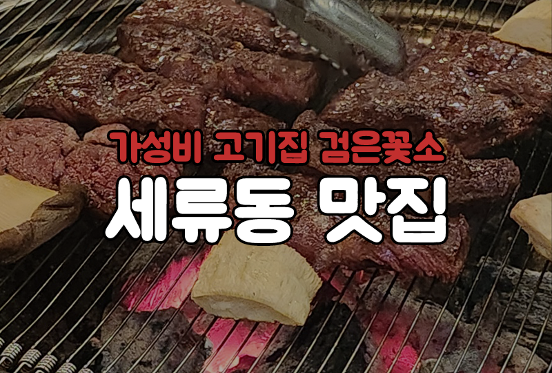검은꽃소 이미지