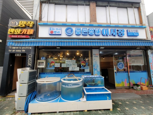 등촌종합어시장 이미지