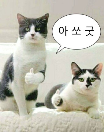 카페. 나른 이미지