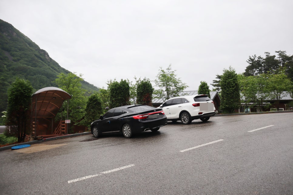 전북권환경성질환치유센터진안고원치유숲 이미지