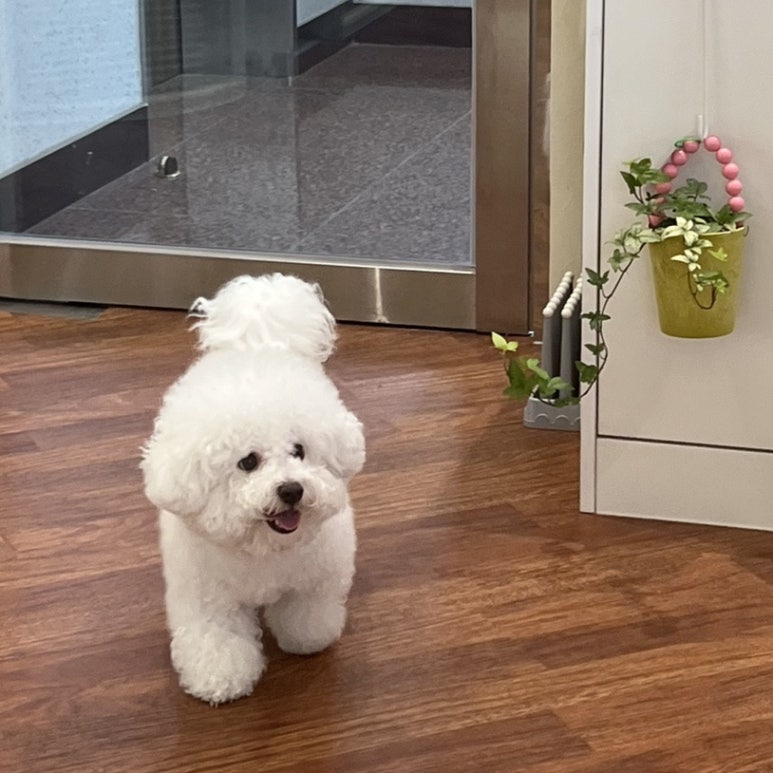 헤이류네일 이미지