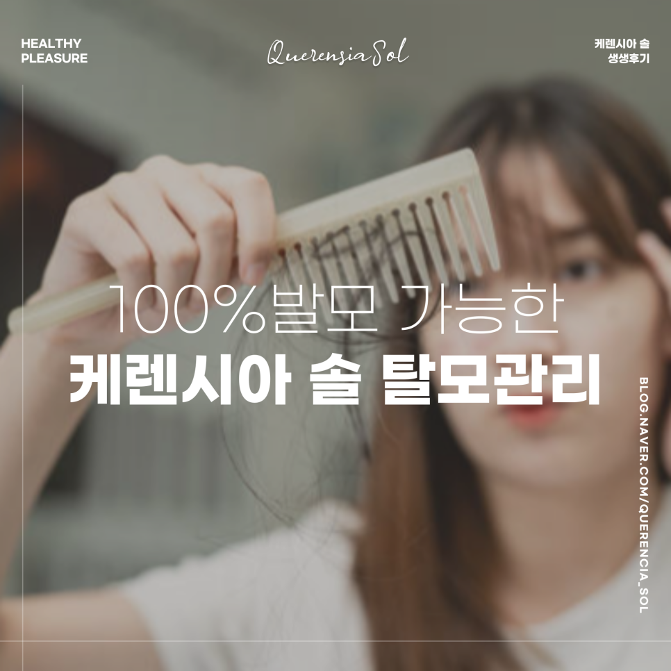 케렌시아 솔 이미지