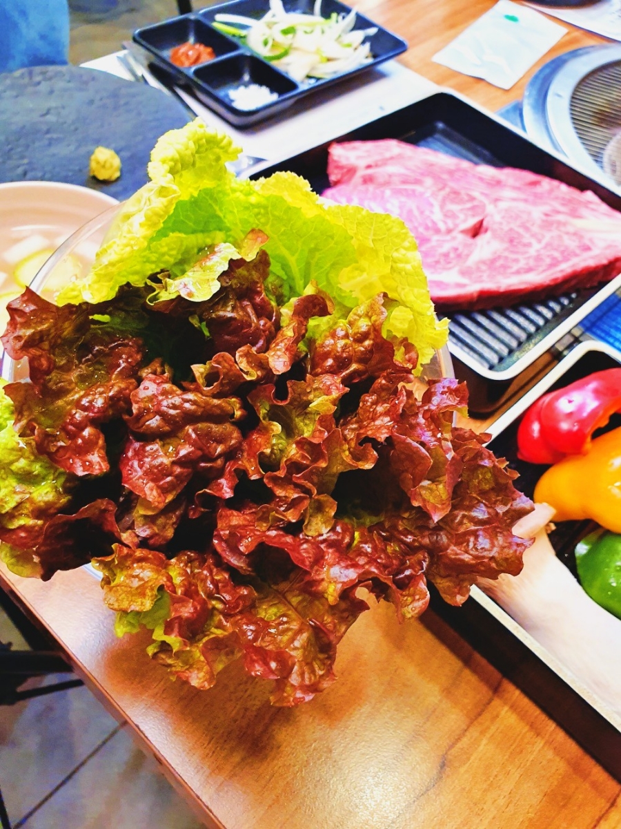 와우고기 이미지