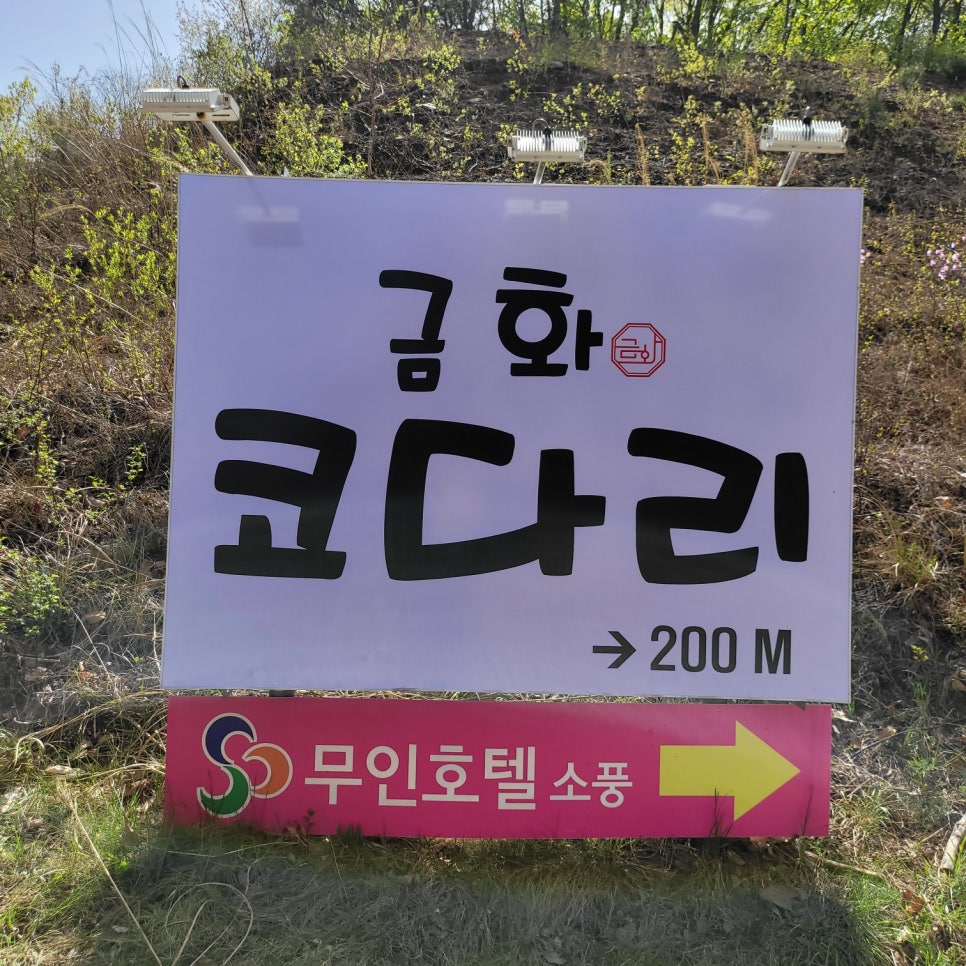 금화네 반찬 이미지