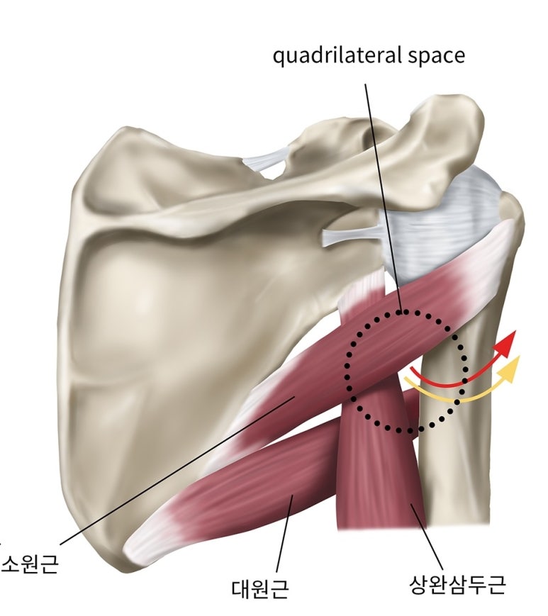 반석한의원 이미지