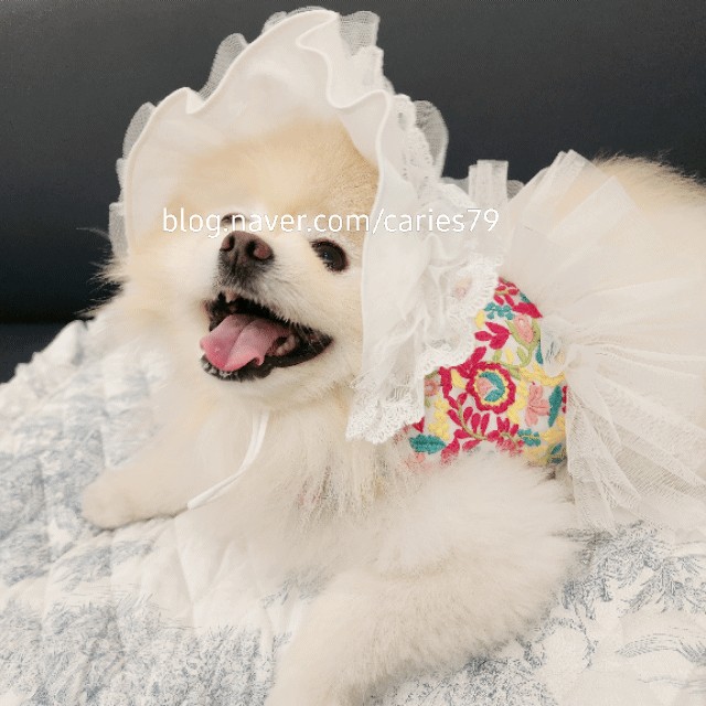 썬부띠끄 이미지